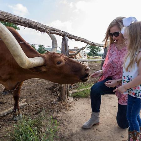 Wildcatter Ranch And Resort Graham Ngoại thất bức ảnh