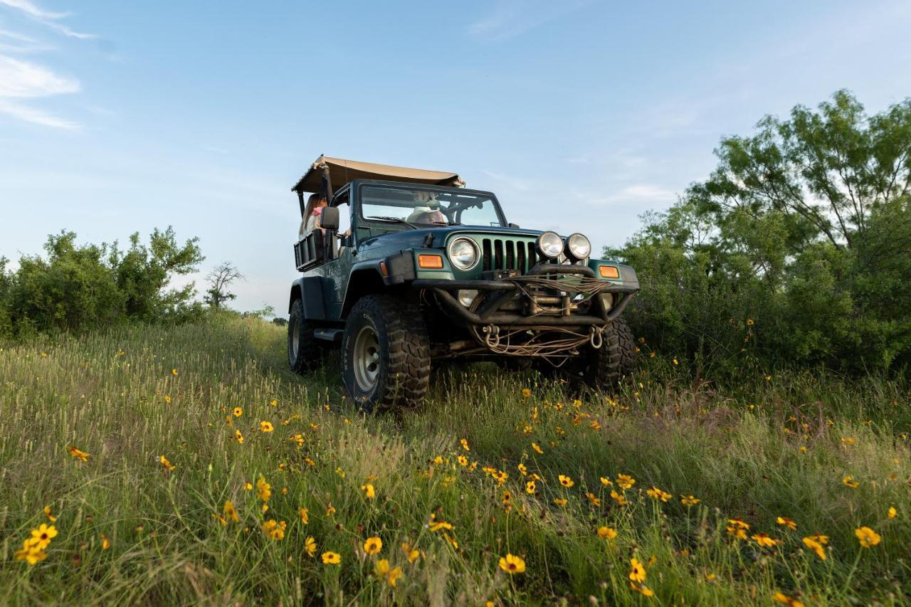 Wildcatter Ranch And Resort Graham Ngoại thất bức ảnh