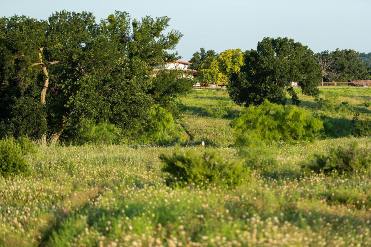 Wildcatter Ranch And Resort Graham Ngoại thất bức ảnh