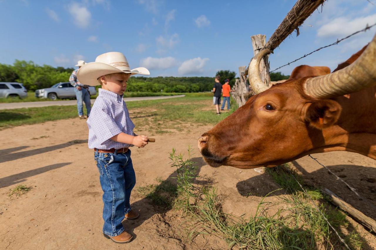 Wildcatter Ranch And Resort Graham Ngoại thất bức ảnh