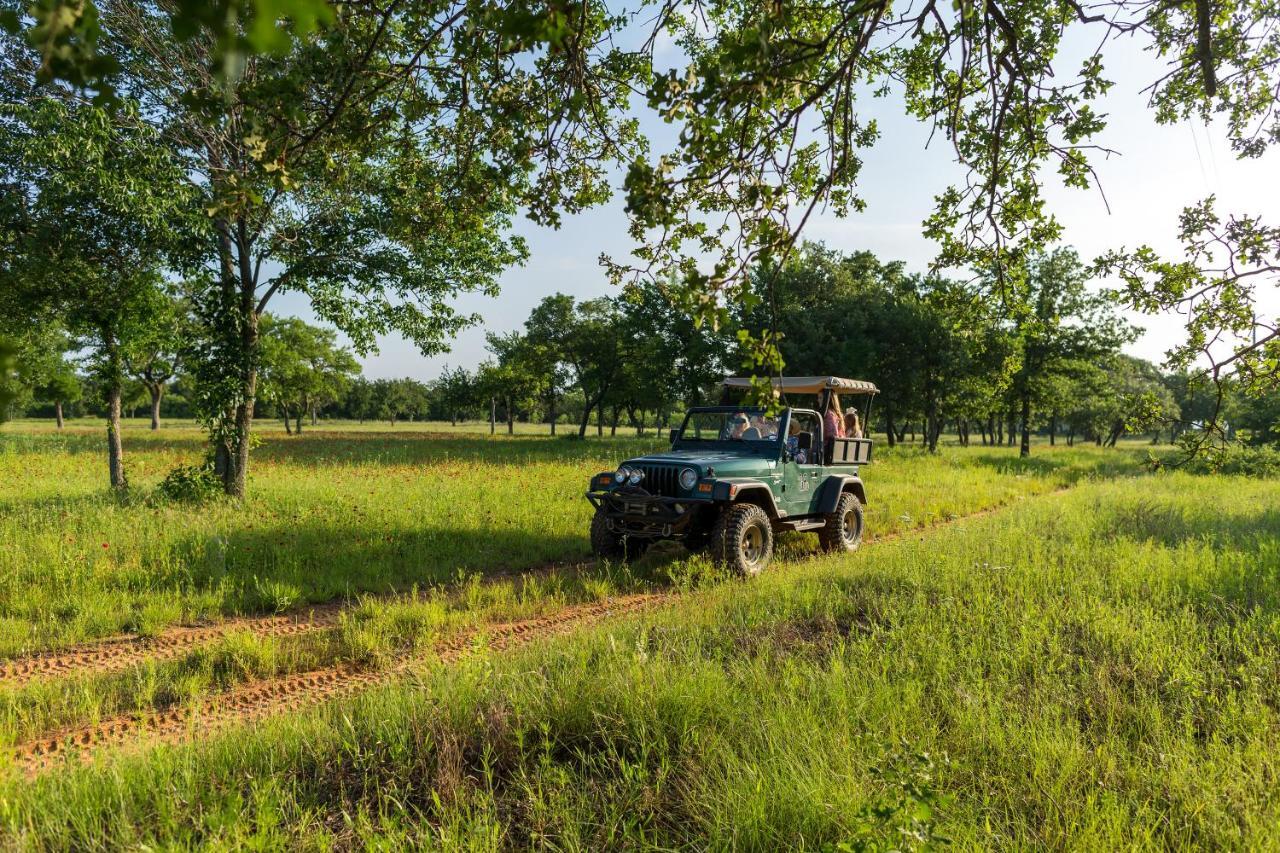 Wildcatter Ranch And Resort Graham Ngoại thất bức ảnh