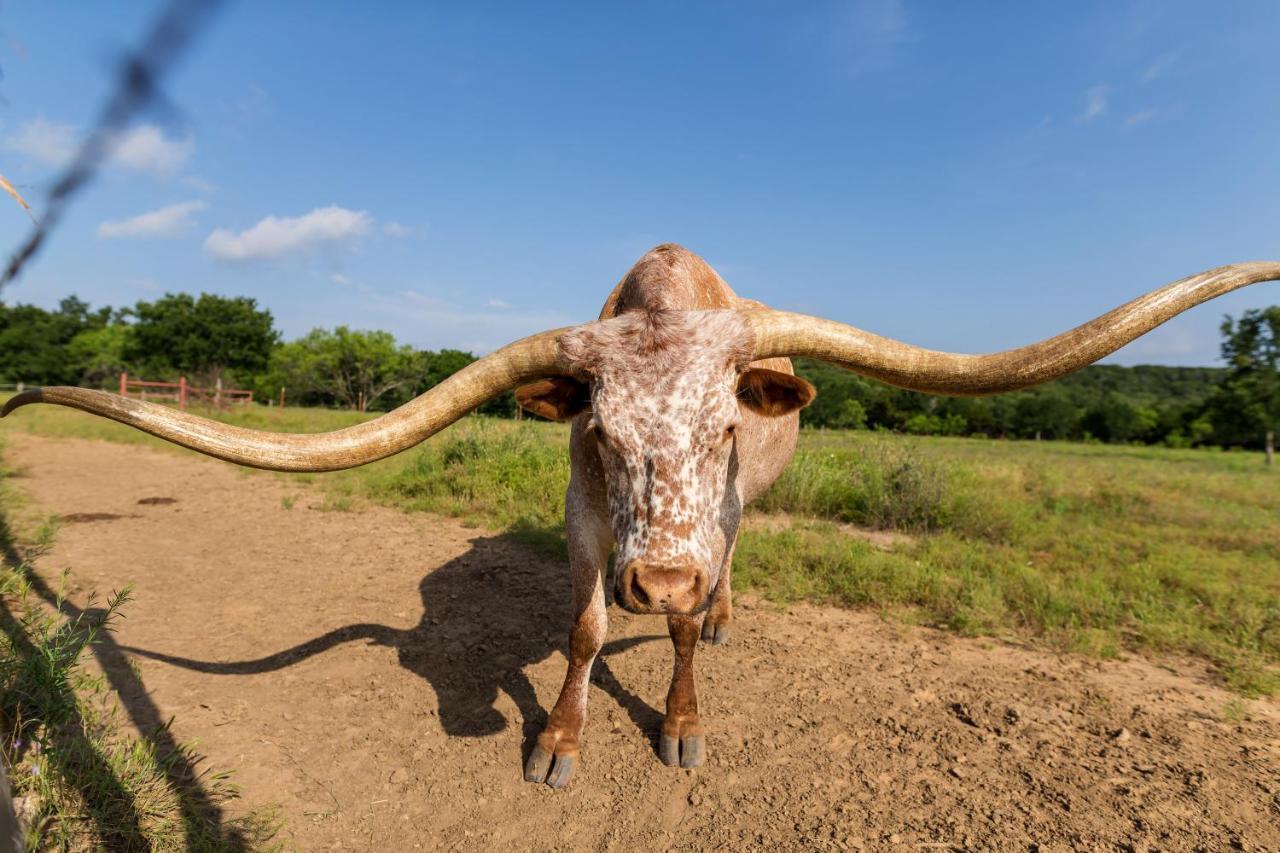 Wildcatter Ranch And Resort Graham Ngoại thất bức ảnh